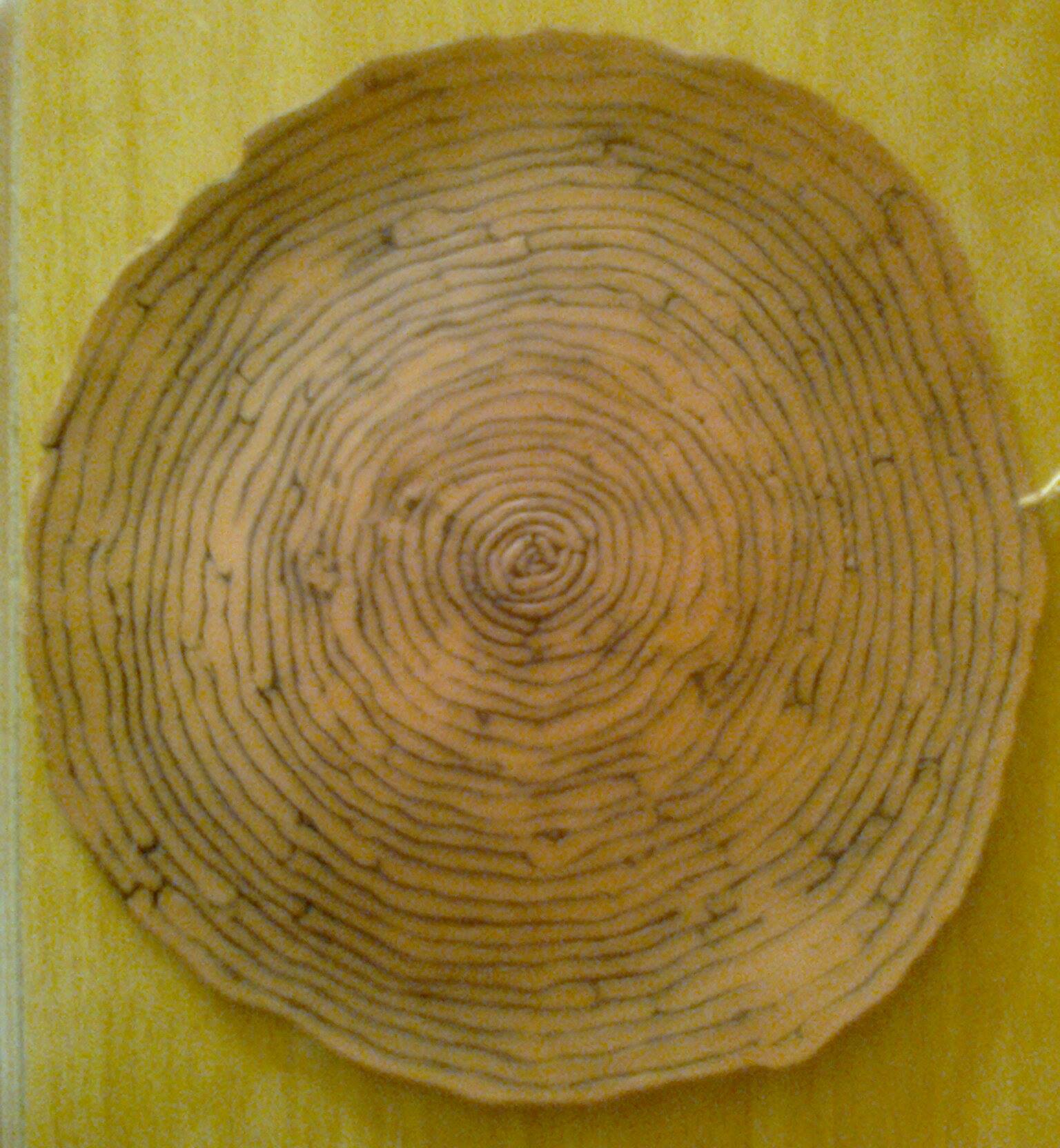Image 41
